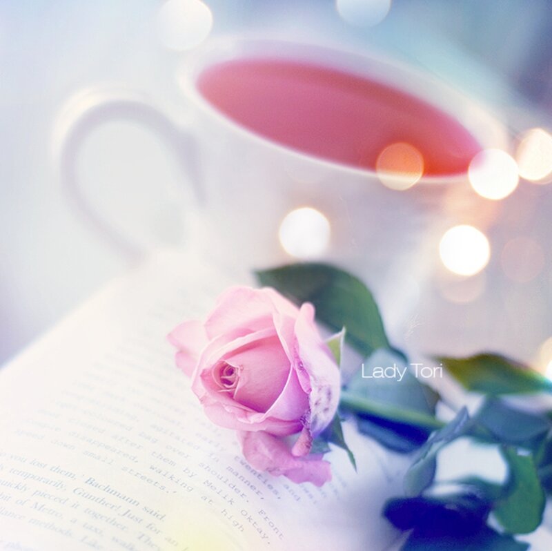Pink Rose on Book — Serene, Photograph, Cup