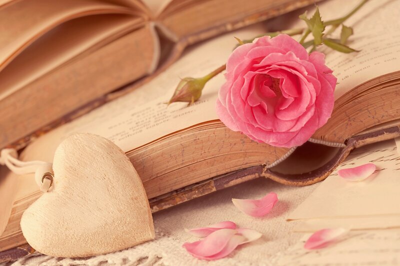 Pink Rose on Book — Serene, Photograph, Heart, Petals