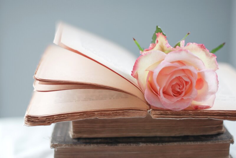 Pink Rose on Book — Serene, Photograph, Stack