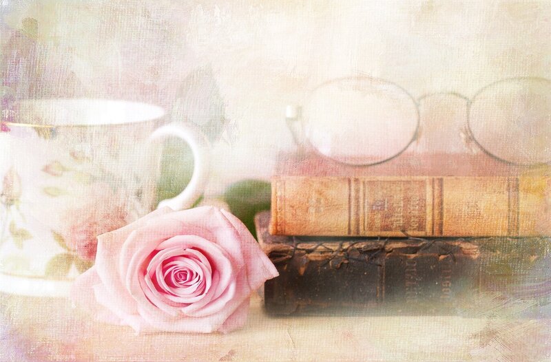 Pink Rose on Books — Serene