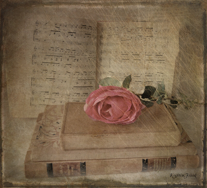 Pink Rose on Books