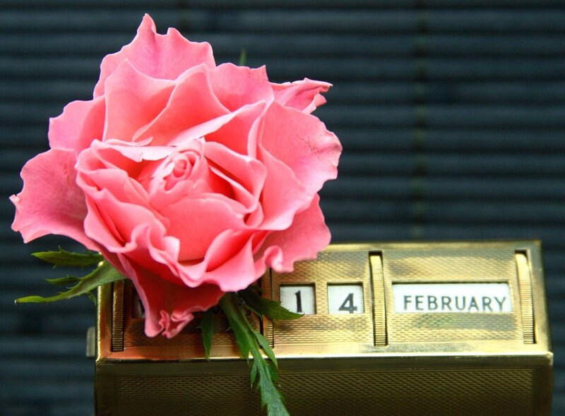 Pink Rose on Calendar