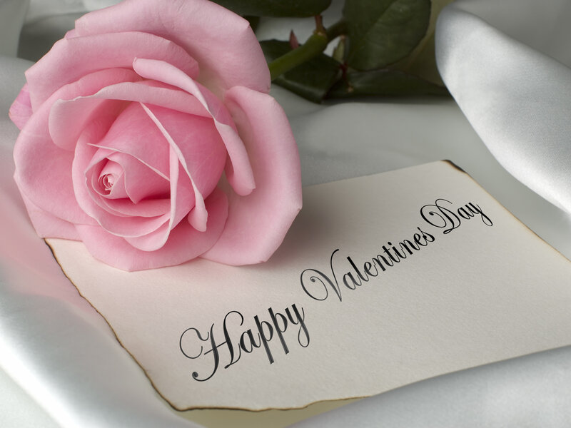 Pink Rose on Card — Romantic, Photograph, Silk