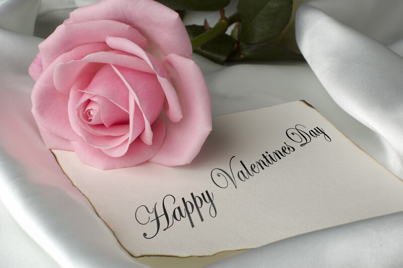 Pink Rose on Card — Romantic, Photograph