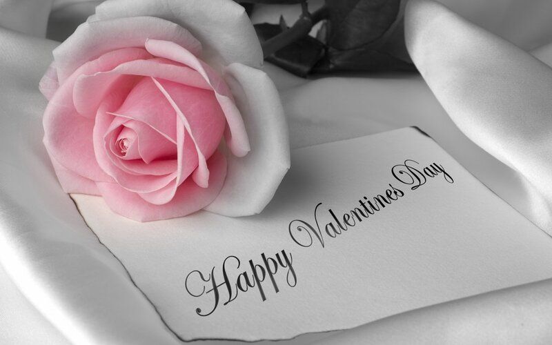 Pink Rose on Card — Romantic