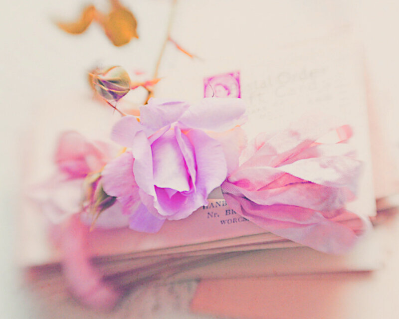 Pink Rose on Cards