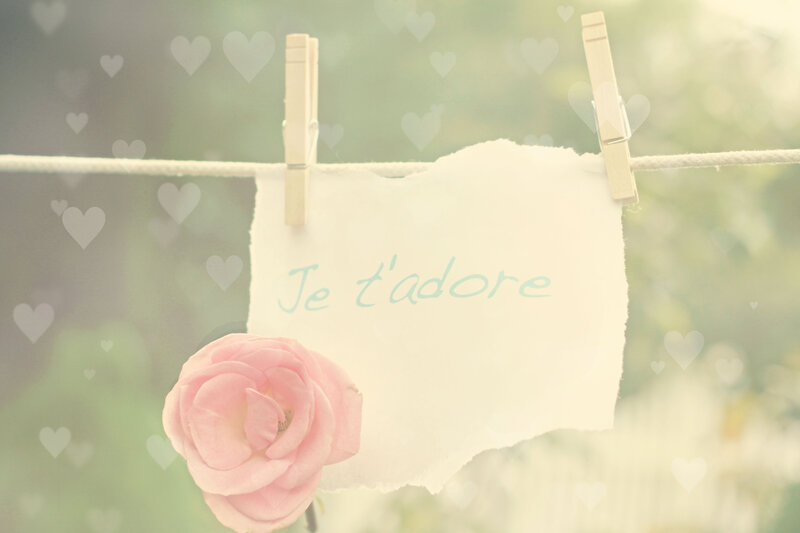 Pink Rose on Clothesline