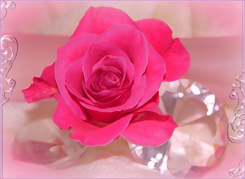 Pink rose on crystal