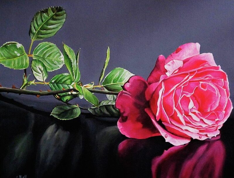 Pink Rose on Dark Surface — Dramatic