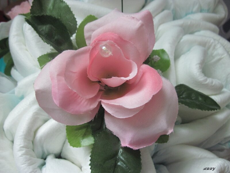 Pink Rose on Diapers