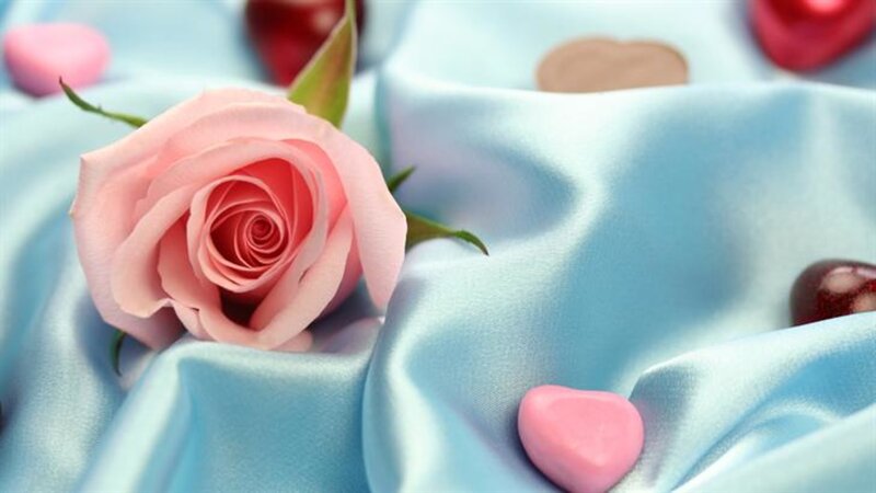 Pink Rose on Fabric — Blue