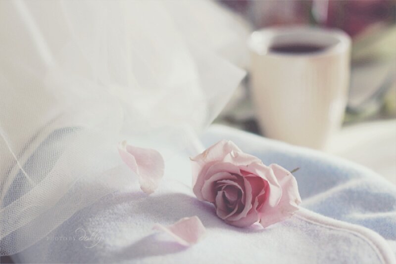 Pink Rose on Fabric — Serene, Morning