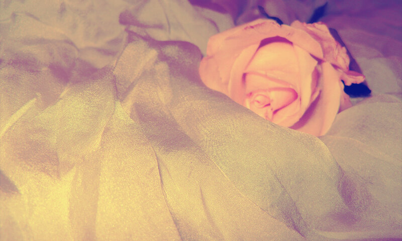 Pink Rose on Fabric — Soft