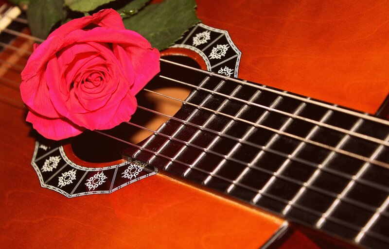 Pink Rose on Guitar
