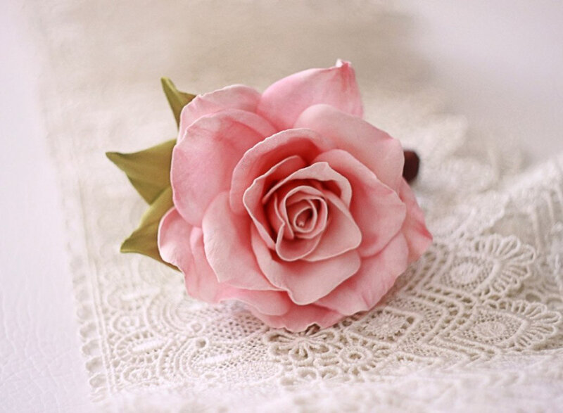 Pink Rose on Lace — Serene, Photograph, Green Leaves