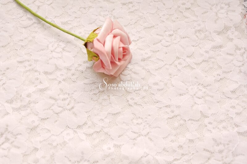 Pink Rose on Lace — Serene, Photograph