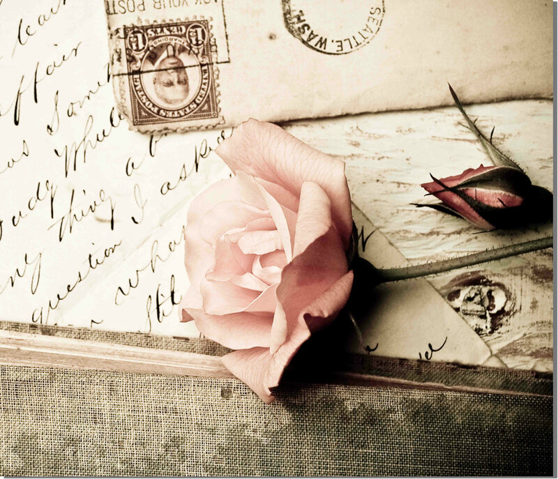 Pink Rose on Letter