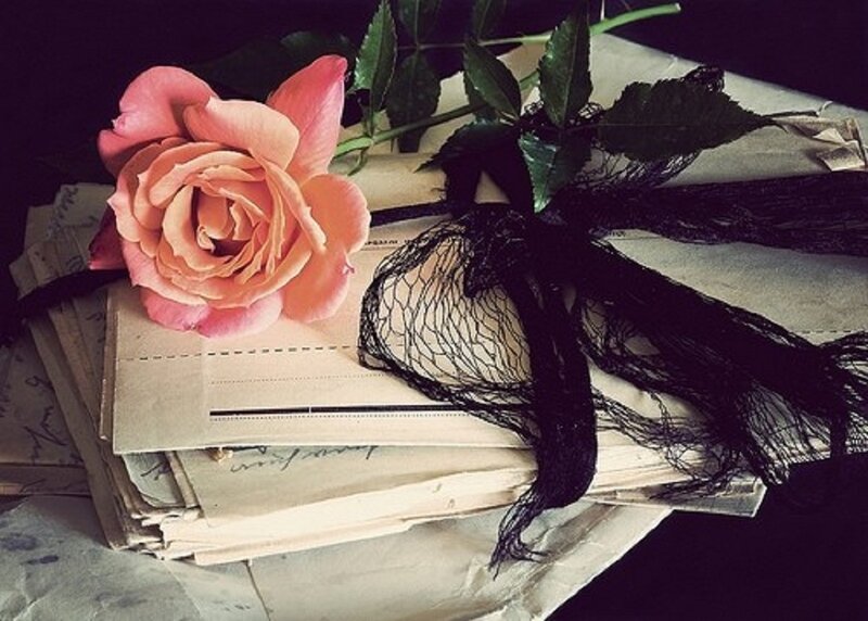 Pink Rose on Letters