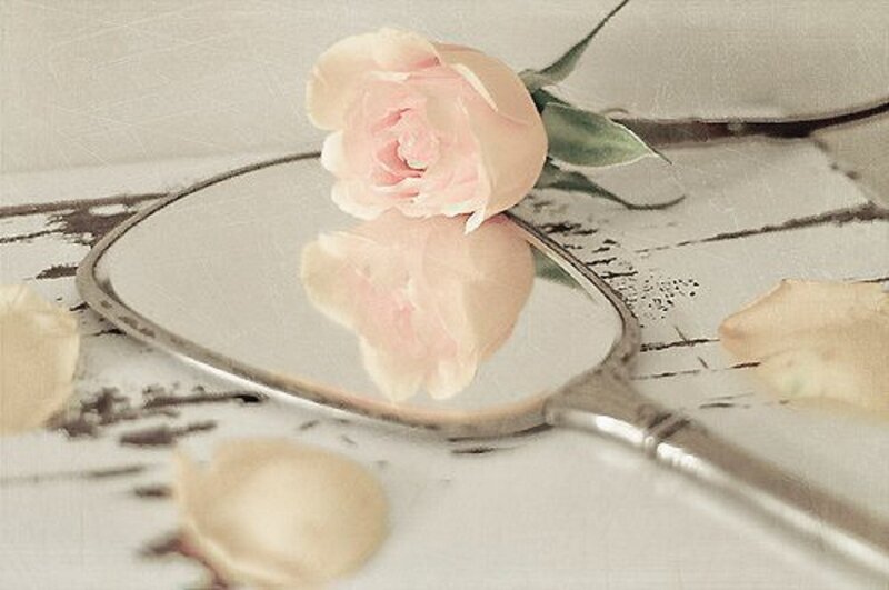 Pink Rose on Mirror