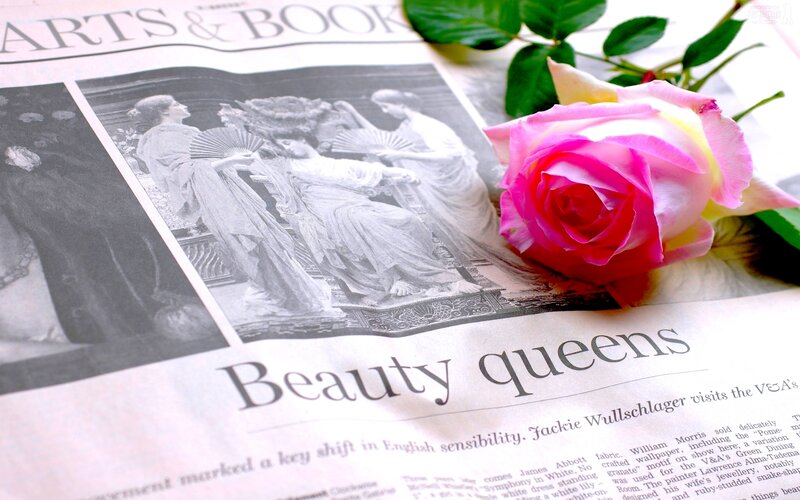 Pink Rose on Newspaper