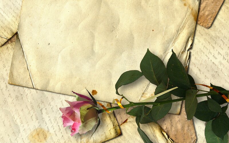 Pink Rose on Old Papers