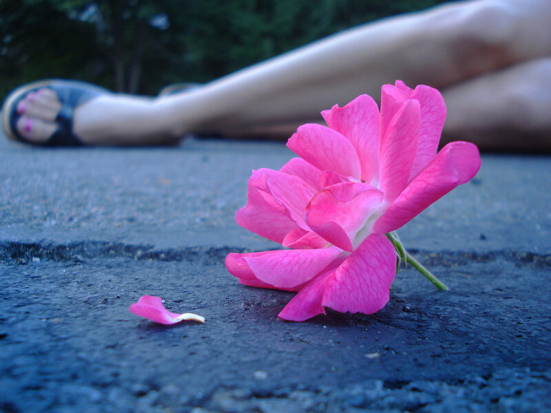 Pink Rose on Pavement