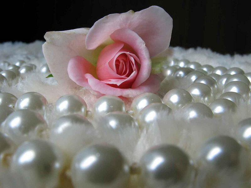 Pink Rose on Pearls