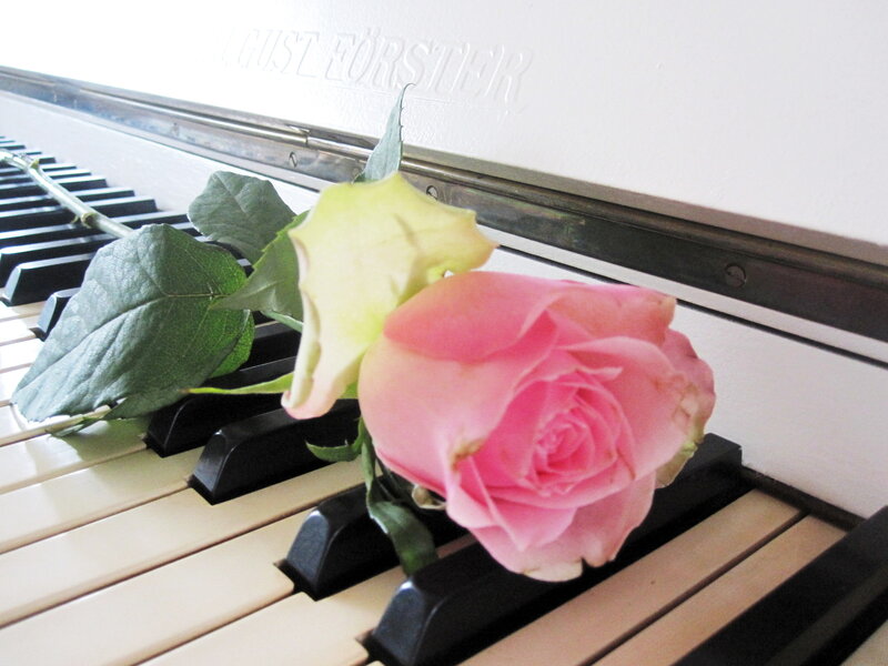 Pink Rose on Piano — Calm, Photograph, Piano Keys
