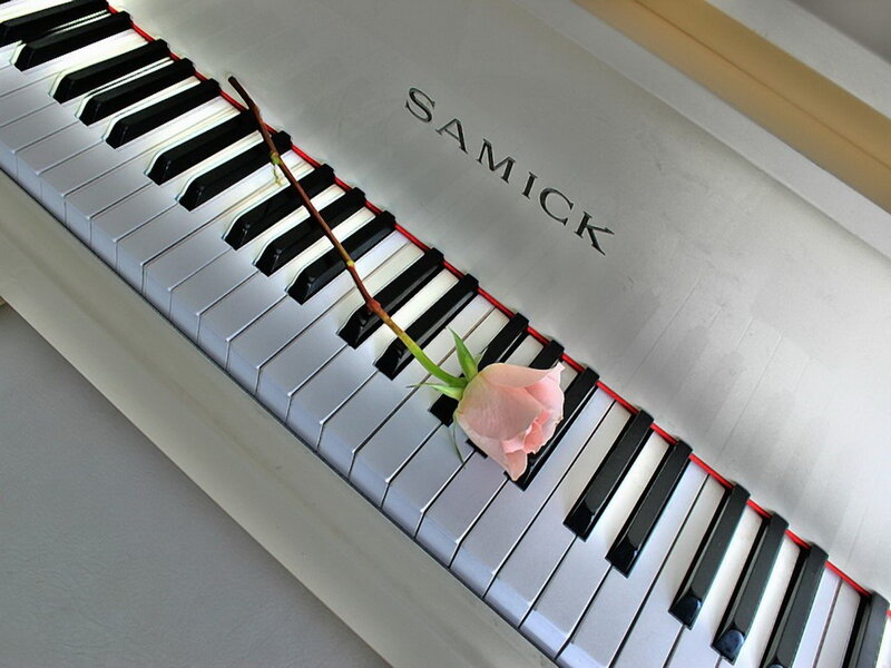 Pink Rose on Piano — White