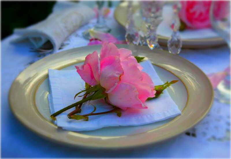 Pink Rose on Plate — Serene