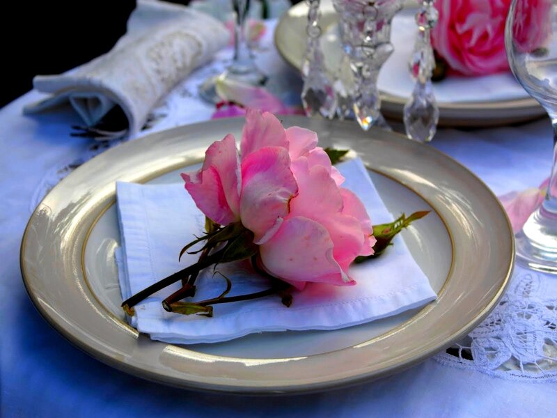 Pink Rose on Plate