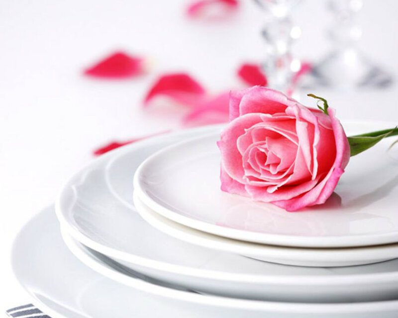 Pink Rose on Plates