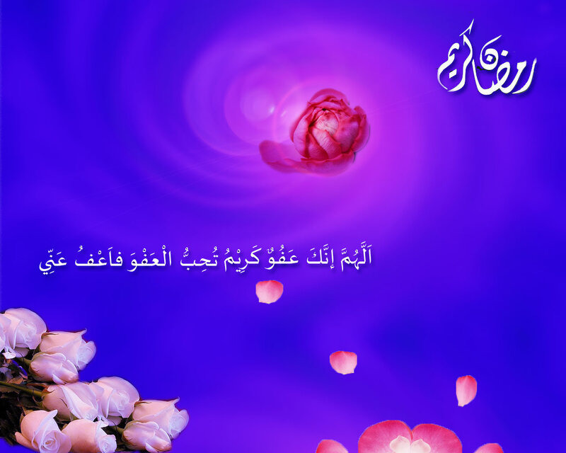 Pink Rose on Purple Background