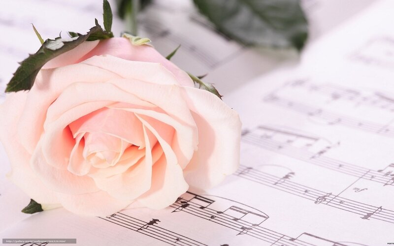 Pink rose on sheet music