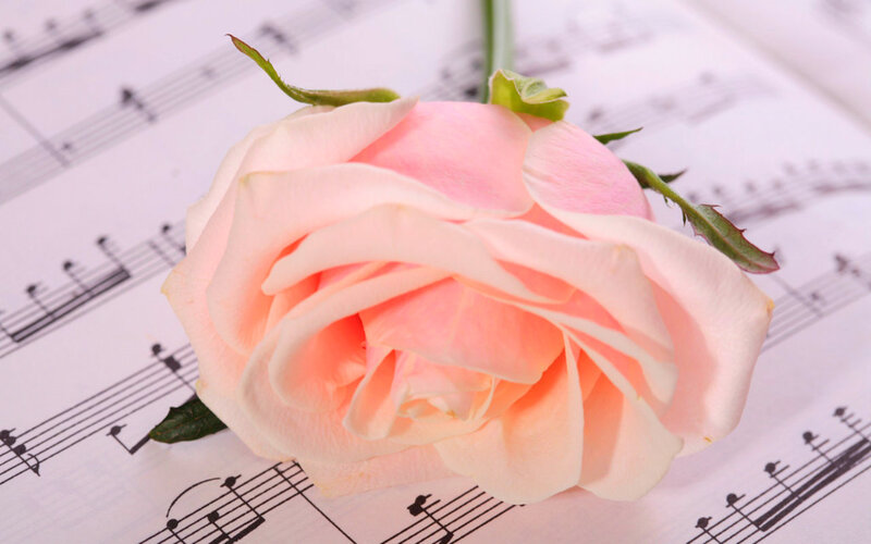 Pink Rose on Sheet Music — Calm, Photograph, Sheet Music