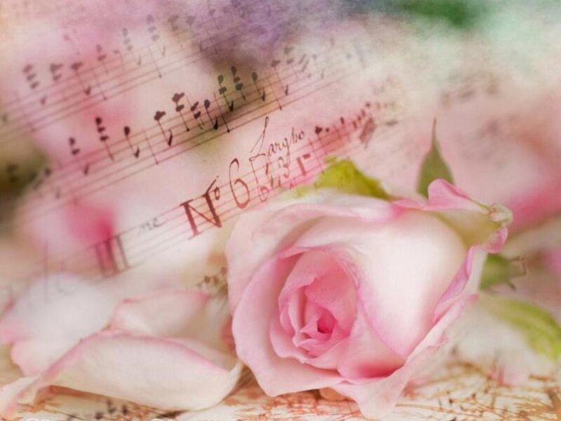 Pink Rose on Sheet Music — Romantic, Photograph