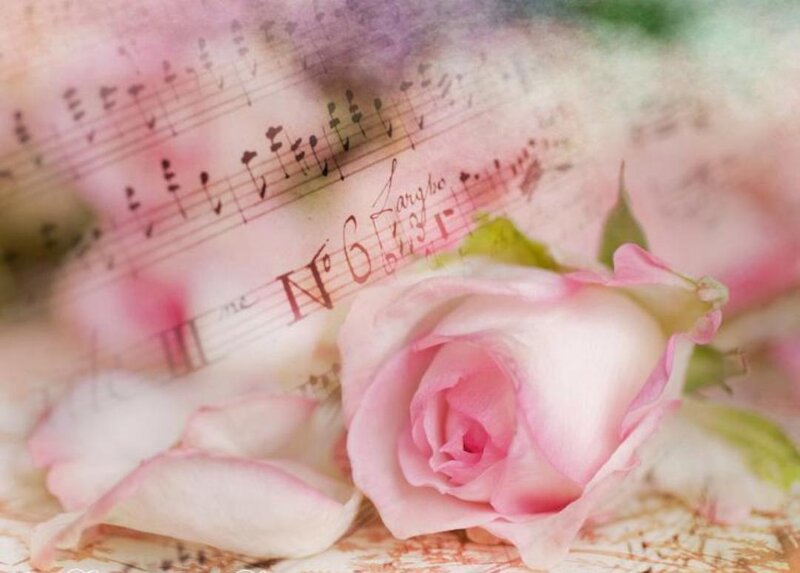 Pink Rose on Sheet Music — Romantic