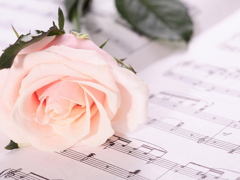 Pink Rose on Sheet Music — Serene