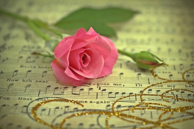 Pink rose on sheet music