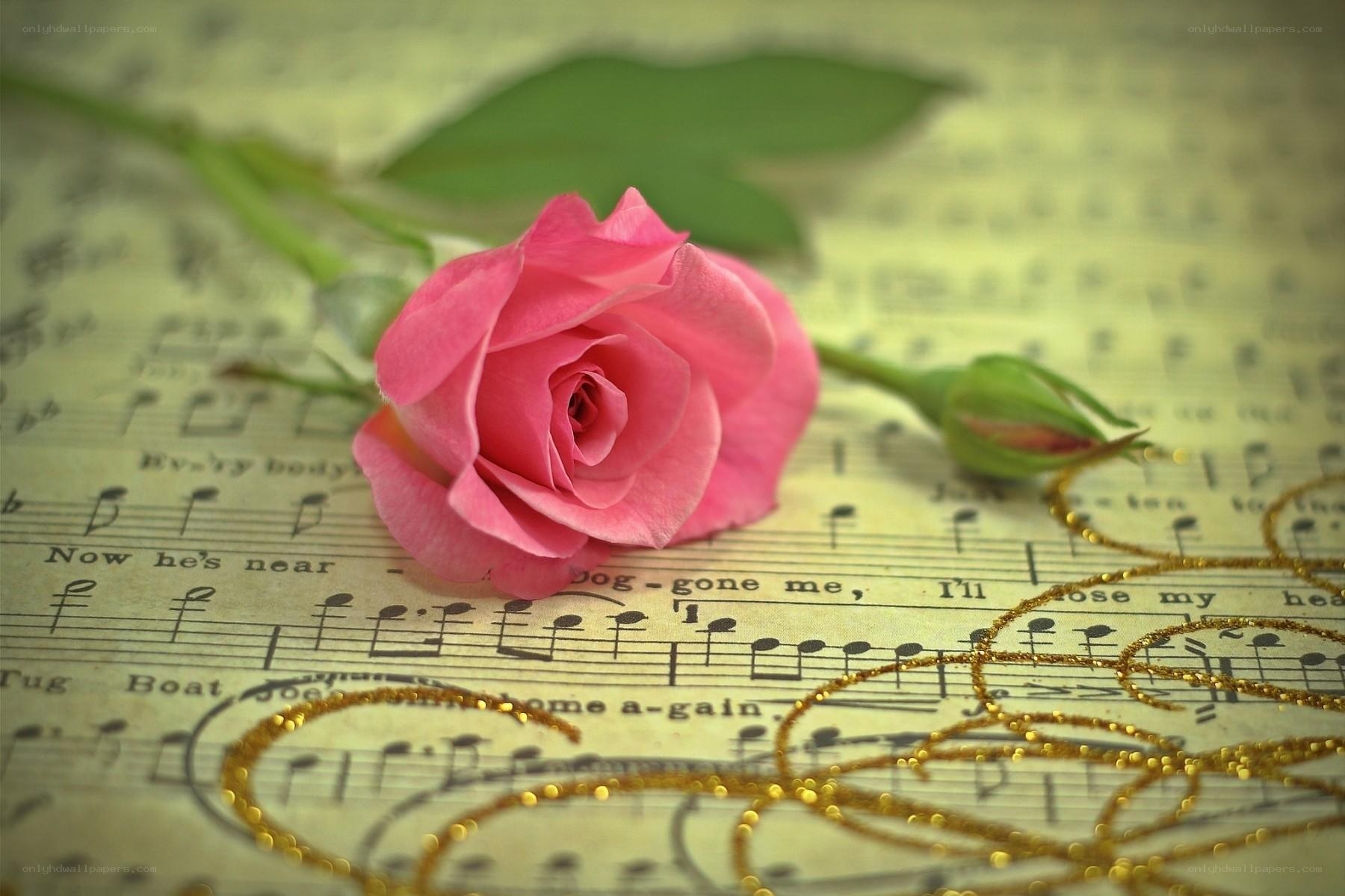 Pink rose on sheet music