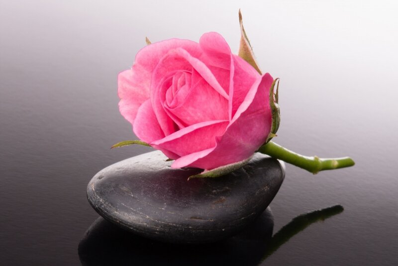Pink Rose on Stone — Serene, Photograph, Water
