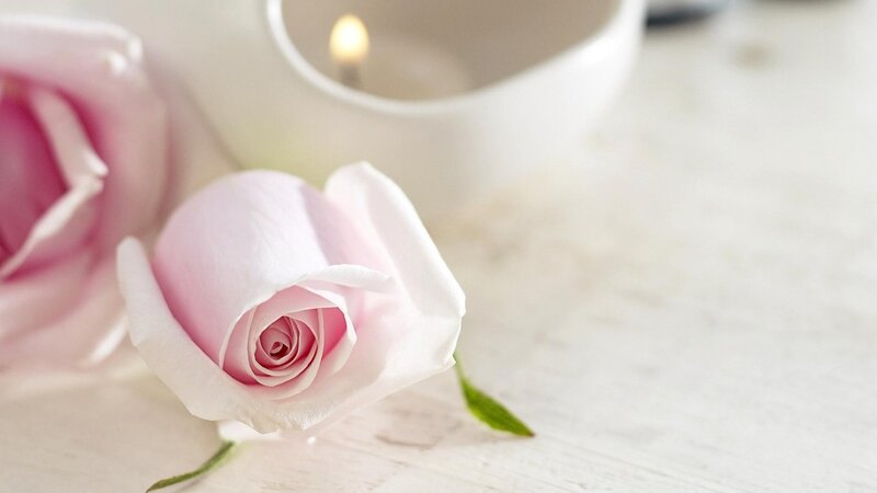 Pink Rose on Table — Serene, Photograph