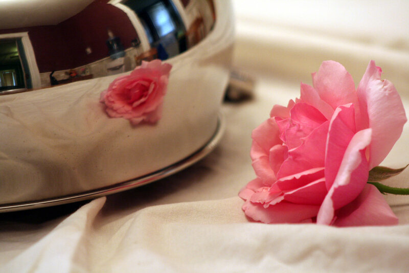 Pink Rose on Table