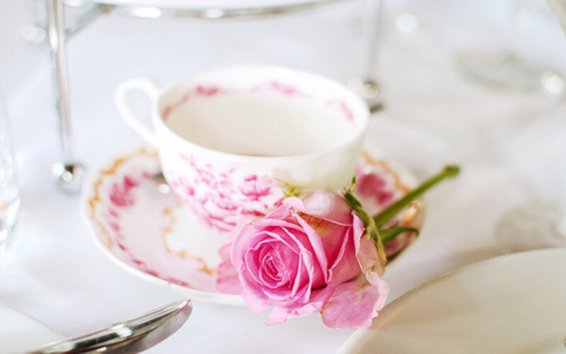 Pink Rose on Teacup