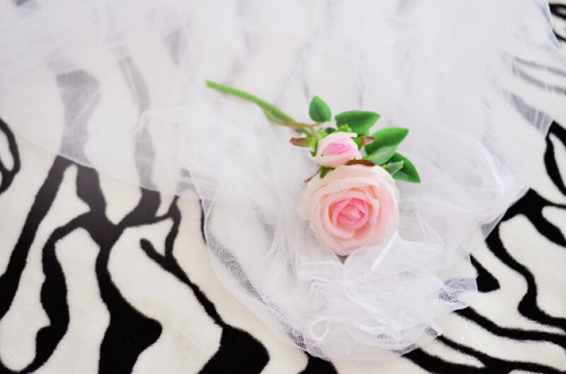 Pink Rose on Veil