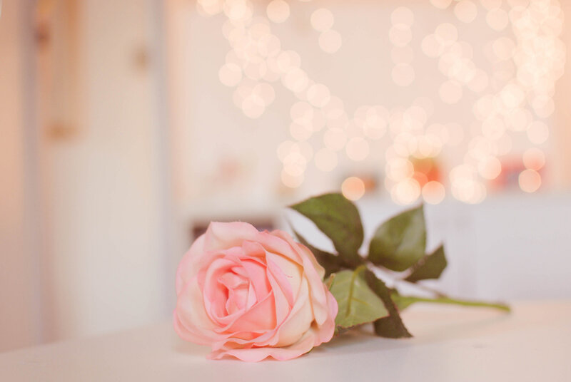 Pink Rose on White Surface — Calm, Photograph