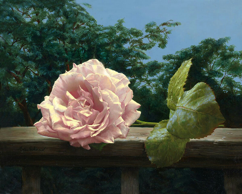 Pink Rose on Wooden Surface — Serene