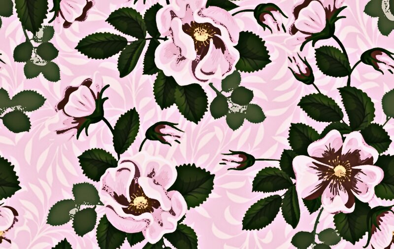 Pink Rose Pattern — Calm, Illustration