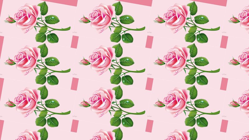 Pink Rose Pattern — Calm