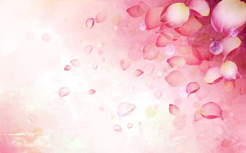 pink rose petals background